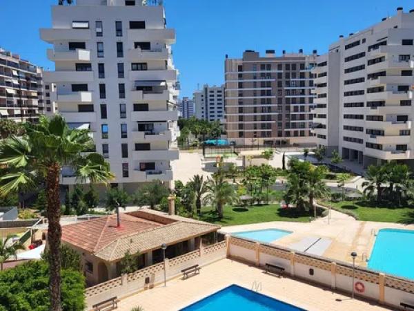 Estudio en calle Músico Vicente Spiteri, 19