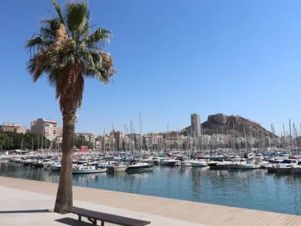 Piso en avenida Oscar Espla, 17