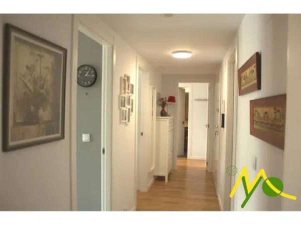 Piso en calle Catedratic Abelardo Rigual