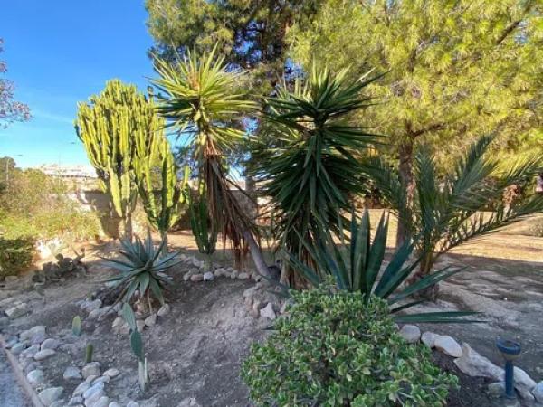 Casa independiente en calle Alavega s/n