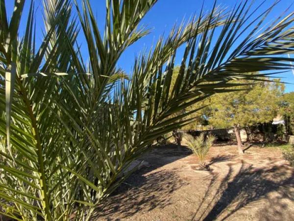 Casa independiente en calle Alavega s/n