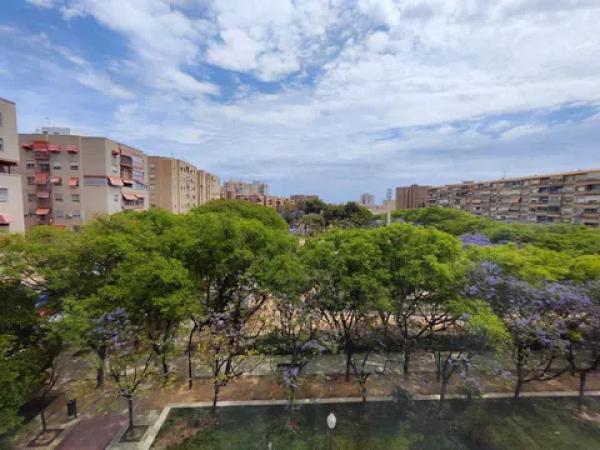 Piso en calle Astrónomo Comas Sola