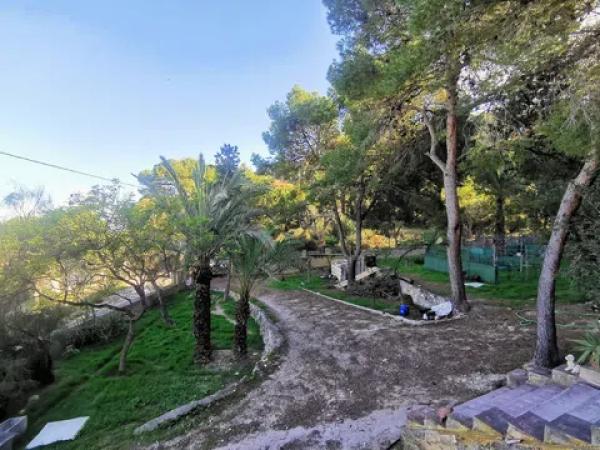 Casa independiente en calle Publicista Víctor Viñés