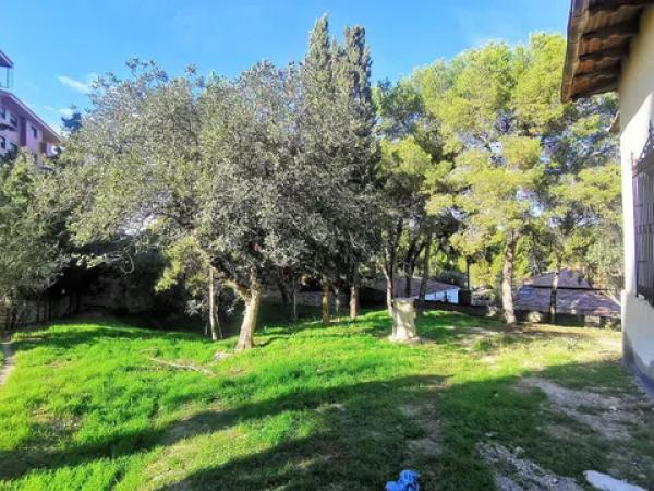 Casa independiente en calle Publicista Víctor Viñés