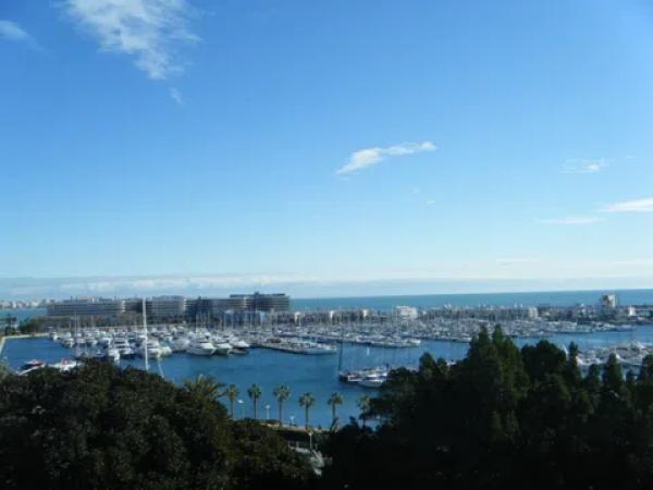 Piso en avenida Doctor Gadea, 1