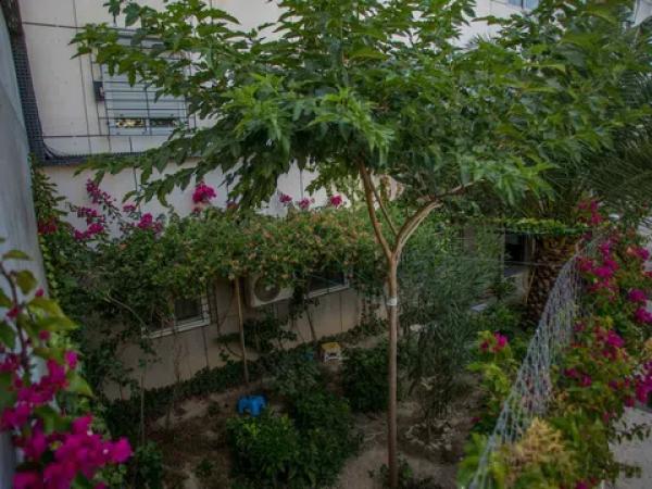 Piso en Maestro Rosillo, 16