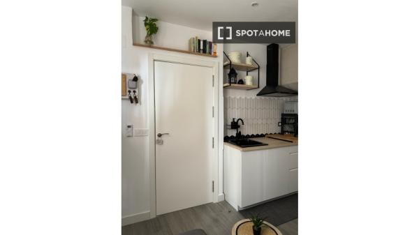 Apartamento de 1 dormitorio en El Ejido, Málaga