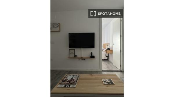 Apartamento de 1 dormitorio en El Ejido, Málaga