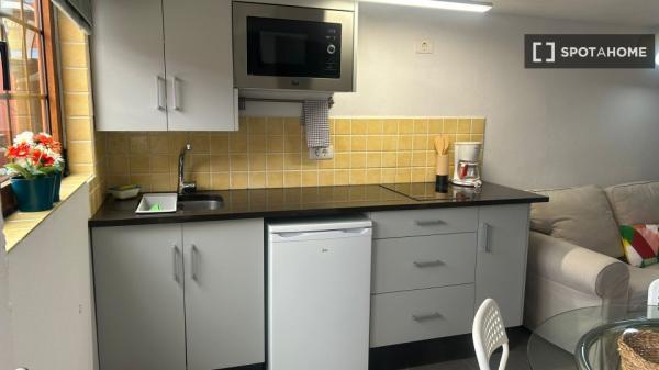 Estudio en alquiler en San Andrés y Sauces