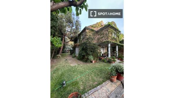 Chambre en colocation à Alicante (Alacant)