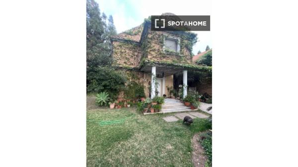 Chambre en colocation à Alicante (Alacant)