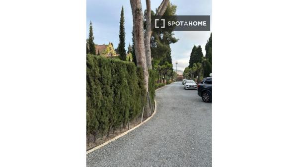 Chambre en colocation à Alicante (Alacant)