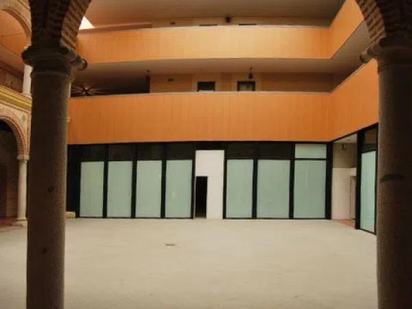 PALACIO DE CÁRDENAS