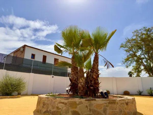 Dúplex en venta en paseo de las Acacias, 1