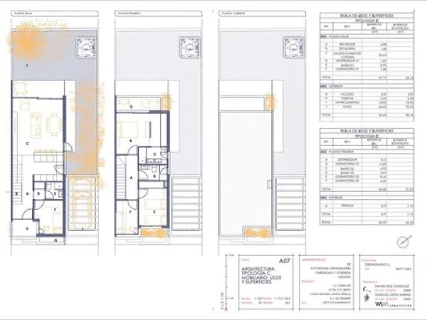 PROYECTO LOMO ROMAN - STRONGWOLF SL