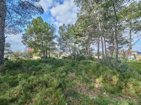 Casa o chalet independiente en venta en Muntanyesos, 48