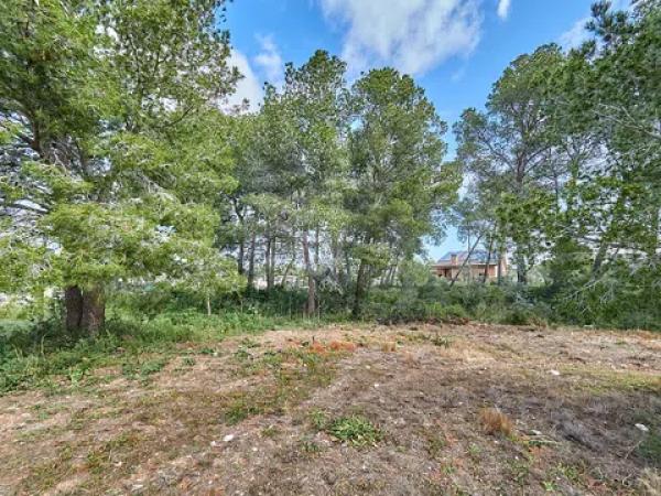 Casa o chalet independiente en venta en Muntanyesos, 48