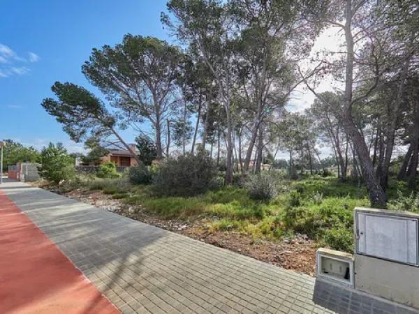 Casa o chalet independiente en venta en calle Muntanyesos, 50