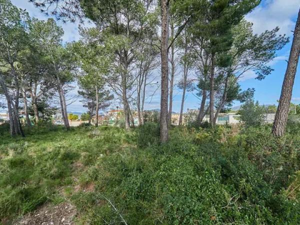 Casa o chalet independiente en venta en calle Muntanyesos, 50