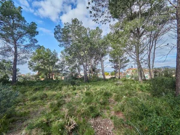 Casa o chalet independiente en venta en calle Muntanyesos, 50