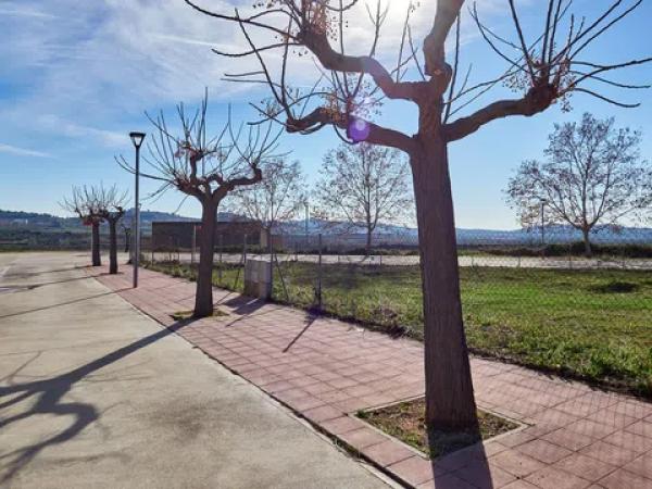 Casa o chalet independiente en venta en Carrer Pau Casals, 1