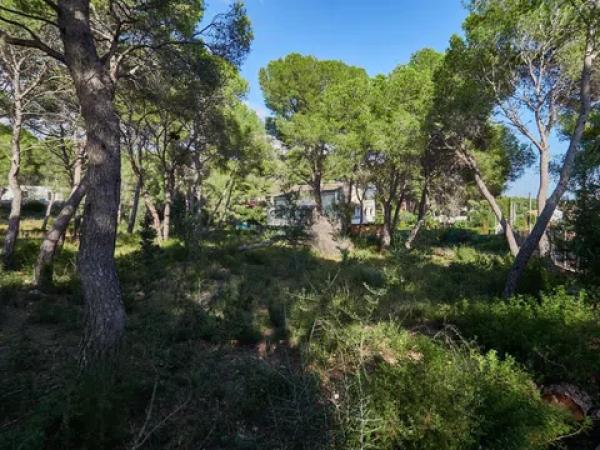 Casa o chalet independiente en venta en Aiguablava, 17