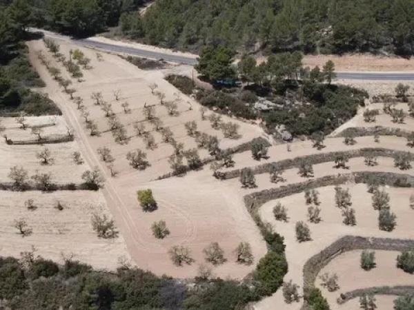 Casa o chalet independiente en venta en Te-v 3341 s/n