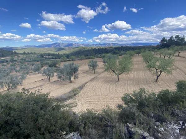 Casa o chalet independiente en venta en Te-v 3341 s/n