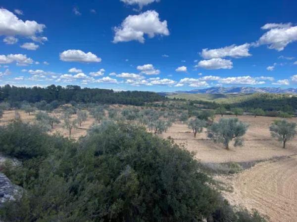 Casa o chalet independiente en venta en Te-v 3341 s/n