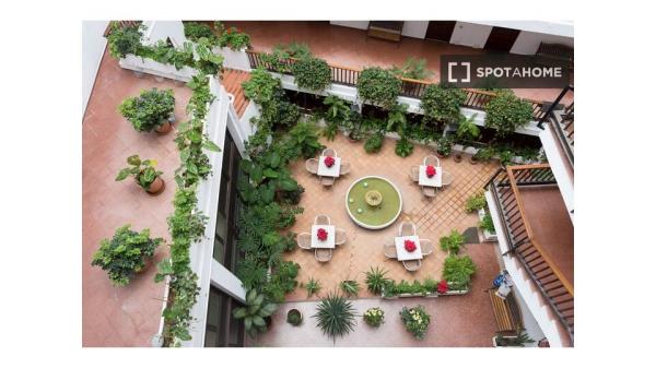 Estudio en alquiler en Puerto de la Cruz