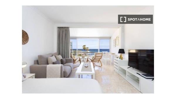 Apartamento de 1 dormitorio en alquiler en Puerto de la Cruz