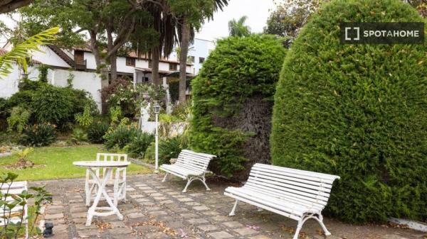 Piso en alquiler en La Orotava