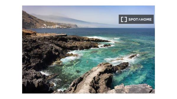 Apartamento de 2 habitaciones en alquiler en El Sauzal