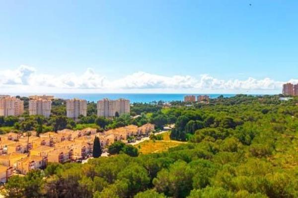 Piso en calle Jacinto Verdaguer s/n