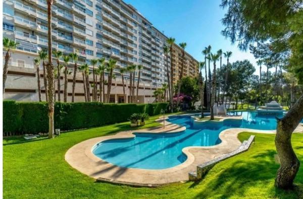 Piso en calle Samaniego s/n