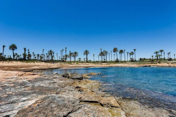 Piso en calle Samaniego s/n