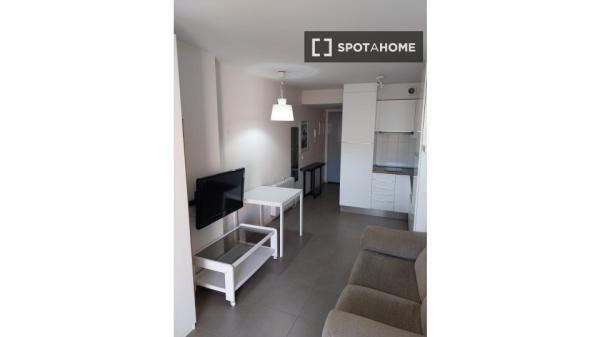 Estudio en alquiler en Madrid