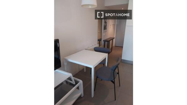 Estudio en alquiler en Madrid