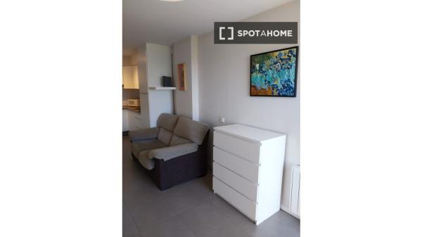 Estudio en alquiler en Madrid