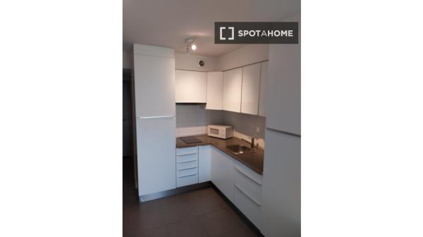 Estudio en alquiler en Madrid