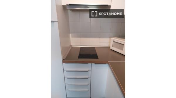 Estudio en alquiler en Madrid