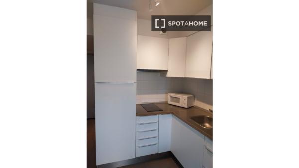 Estudio en alquiler en Madrid