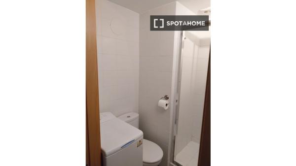 Estudio en alquiler en Madrid