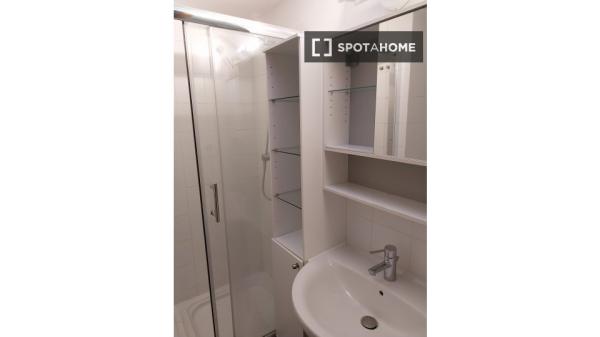 Estudio en alquiler en Madrid