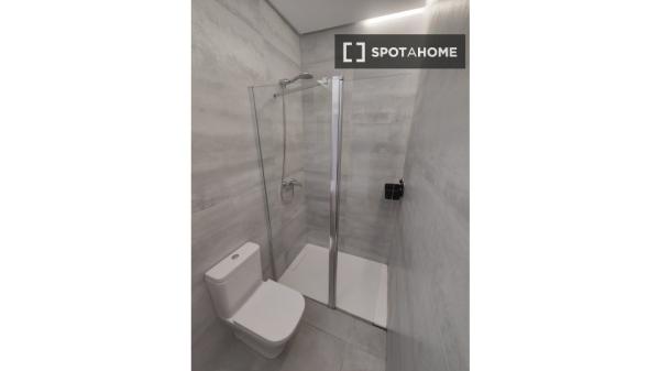 Apartamento de 1 dormitorio en alquiler en Santa Catalina, Sevilla