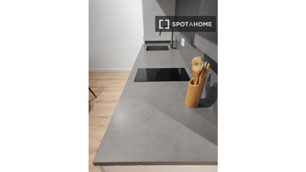 Apartamento de 1 dormitorio en alquiler en Santa Catalina, Sevilla