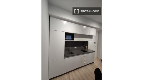 Apartamento de 1 dormitorio en alquiler en Santa Catalina, Sevilla