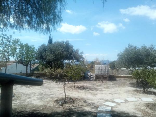 Casa independiente en calle Aragon-r Ab, 12