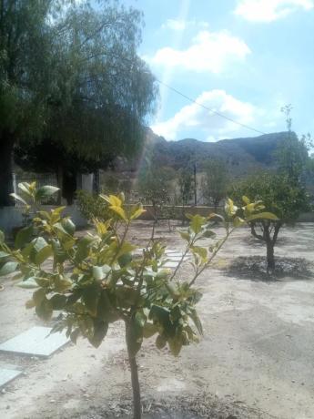 Casa independiente en calle Aragon-r Ab, 12