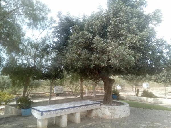 Casa independiente en calle Aragon-r Ab, 12